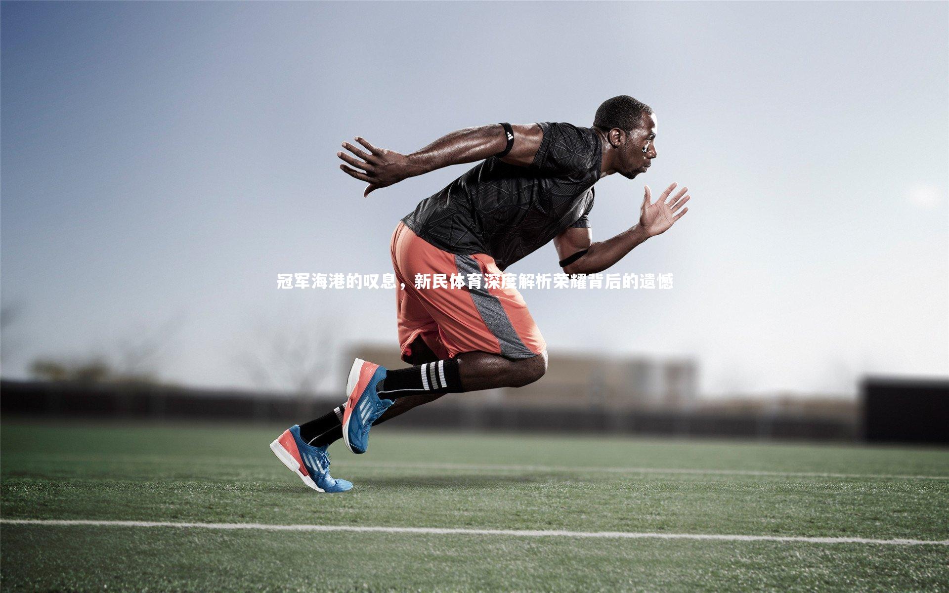 冠军海港的叹息,新民体育深度解析荣耀背后的遗憾